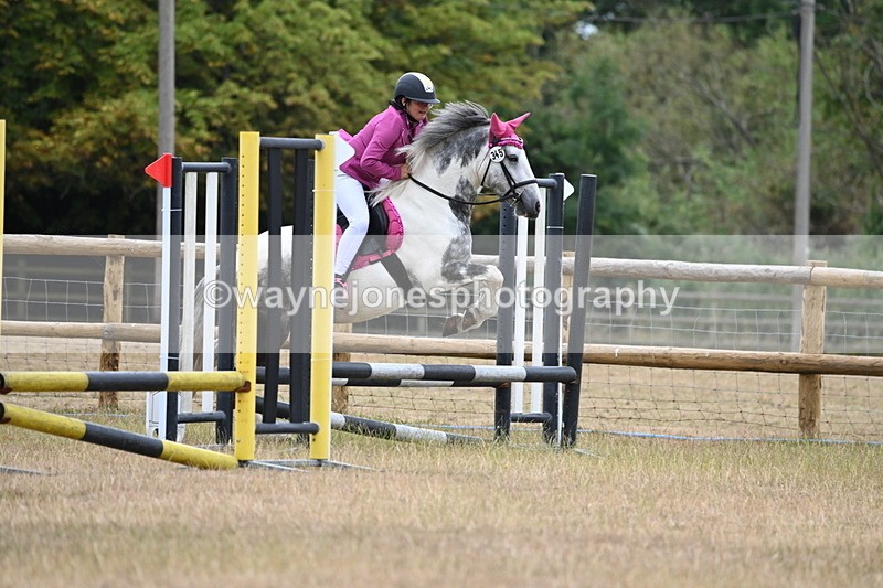 WJ6_0332 - Class 13 Novice Jumping 60cm