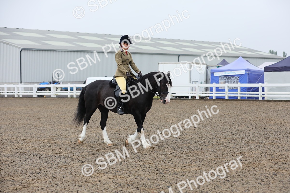 SBM_19937 - Class 801 - Ridden Veteran