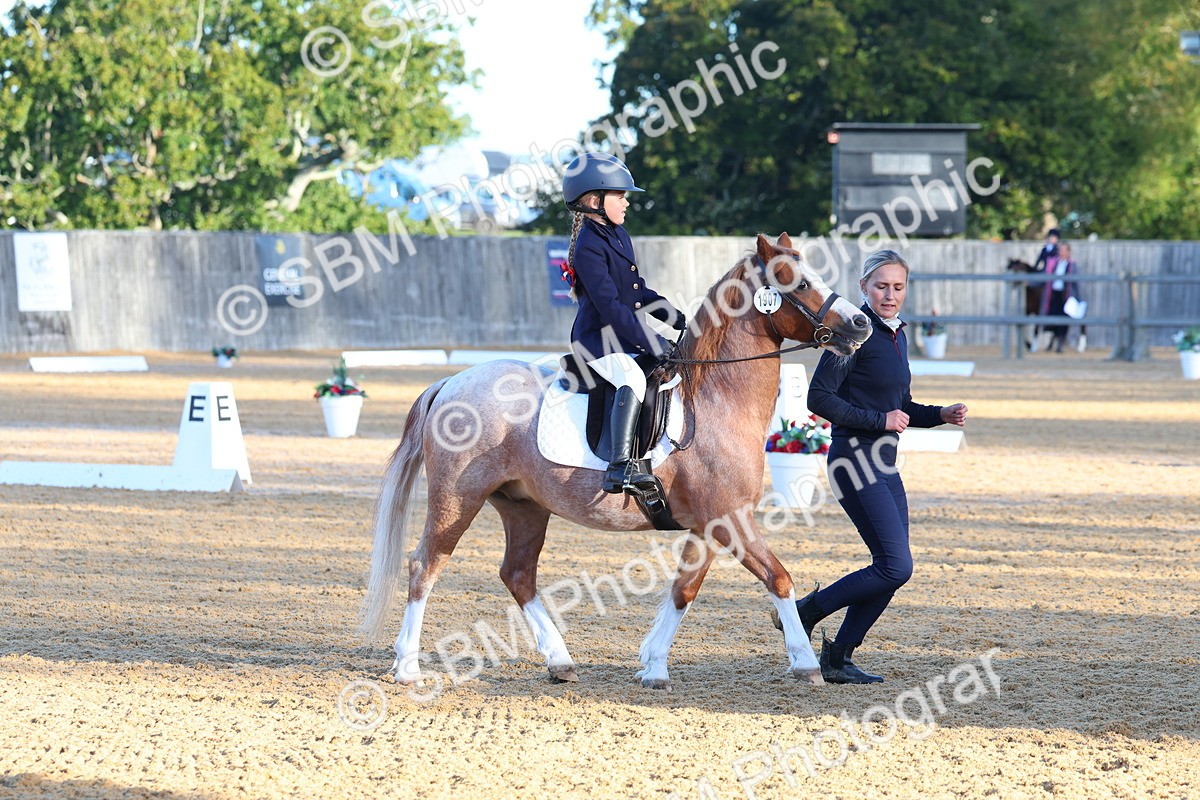 SBM_33476 - D26 - Test Starter Test 1