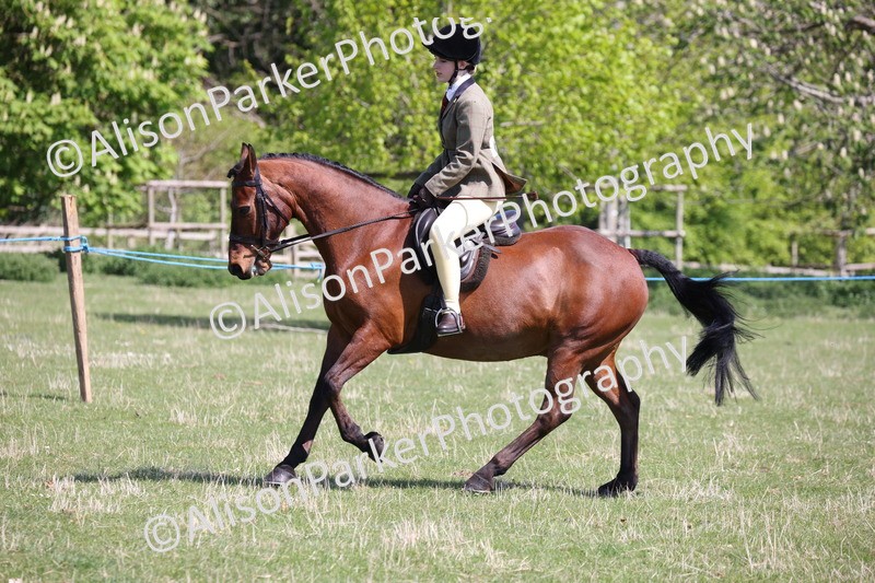 20250427-3230 - Class 33 - Best Pony 14.2hh and Under