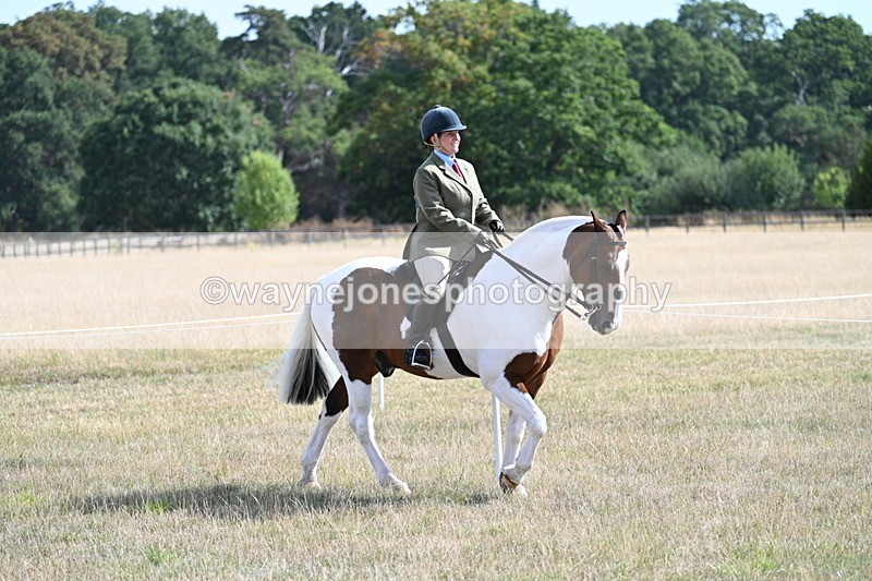 WJ7_2700 - Class 8 Ridden Tack & Turnout
