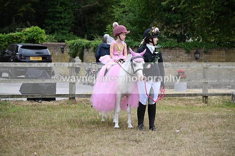 WJ6_9117 - Class 11 Fancy Dress