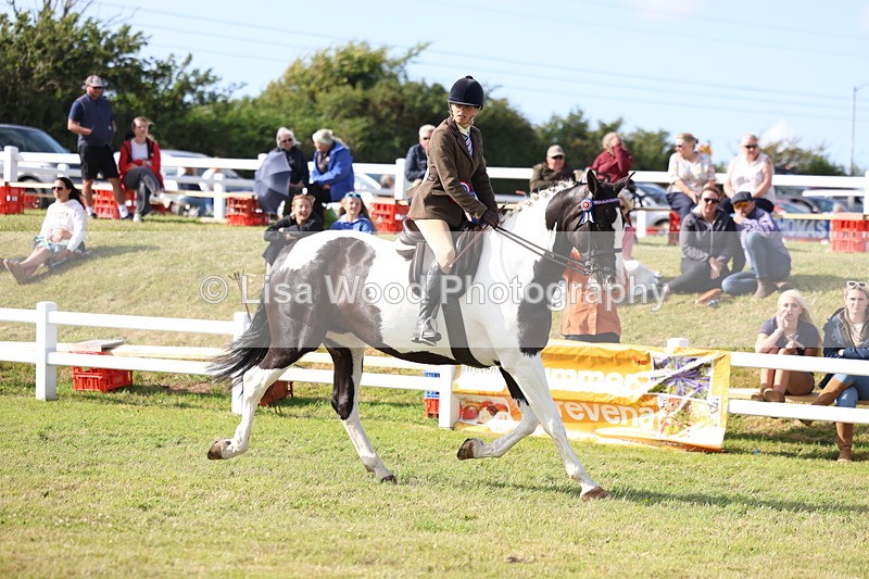 3E7A3832 - Supreme Championship