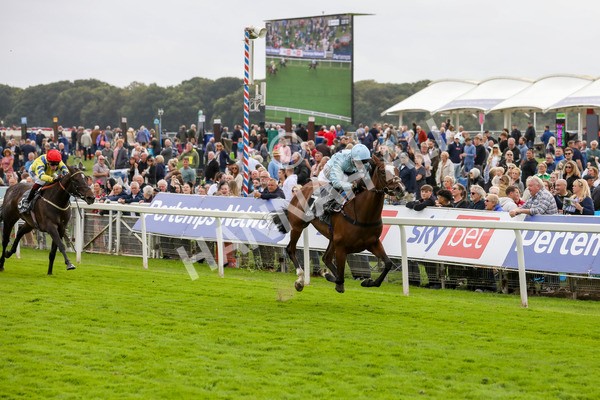 220824-Race 5-Scenic-7821 - Race 5 4.10pm British EBF & Sir Henry Cecil Galtres Stakes