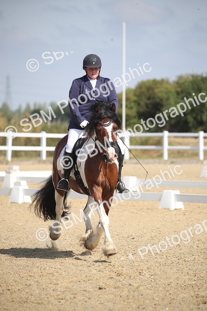 SBM_006009 - Novice 5 - 8.30.10.39