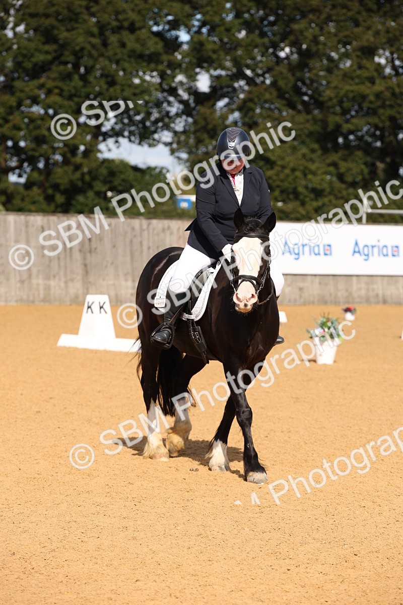 SBM_04197 - D2 Small Tour Championship Intro C
