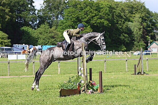 IMG_4864 - Working Hunter
