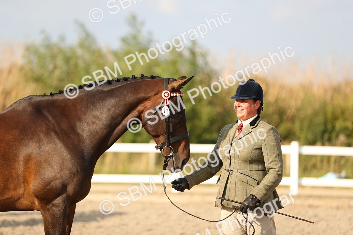 SBM_08664 - Class 28 - IH Veteran Horse