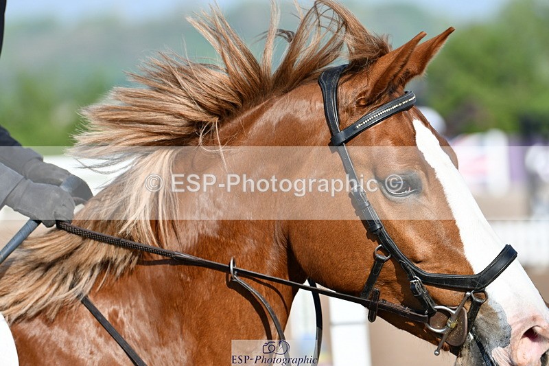 240512A-083323-16886 - Cls 39 British Novice and 90cm Open