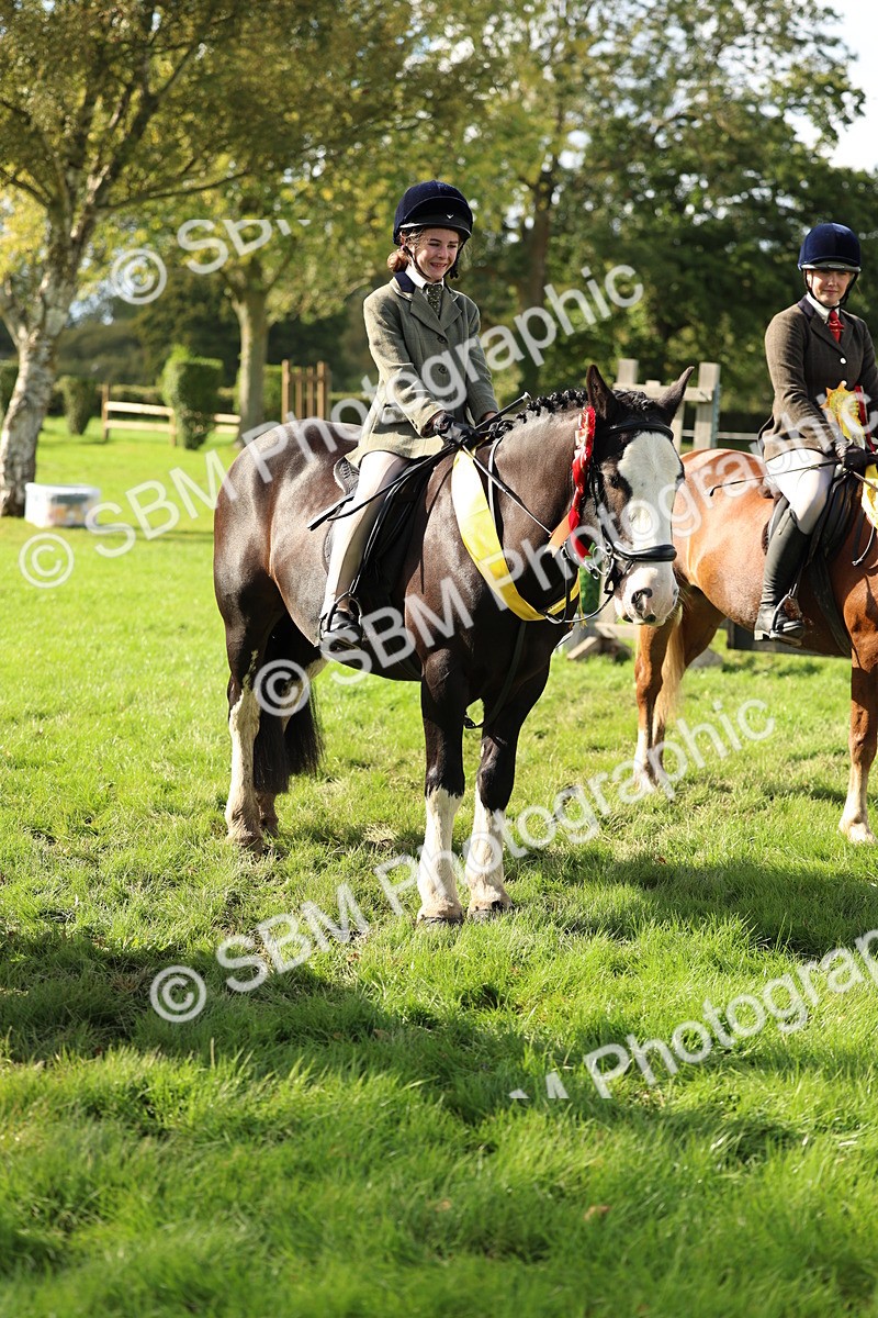 SBM_46399 - Working Hunter Pony Supreme Championship
