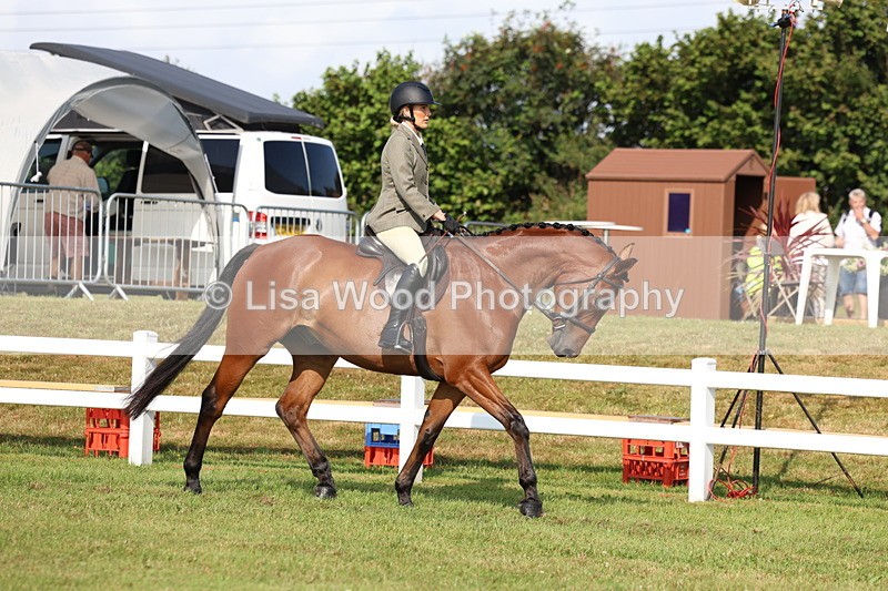 3E7A8506 - Class 3: Rising Star S/L Hunter