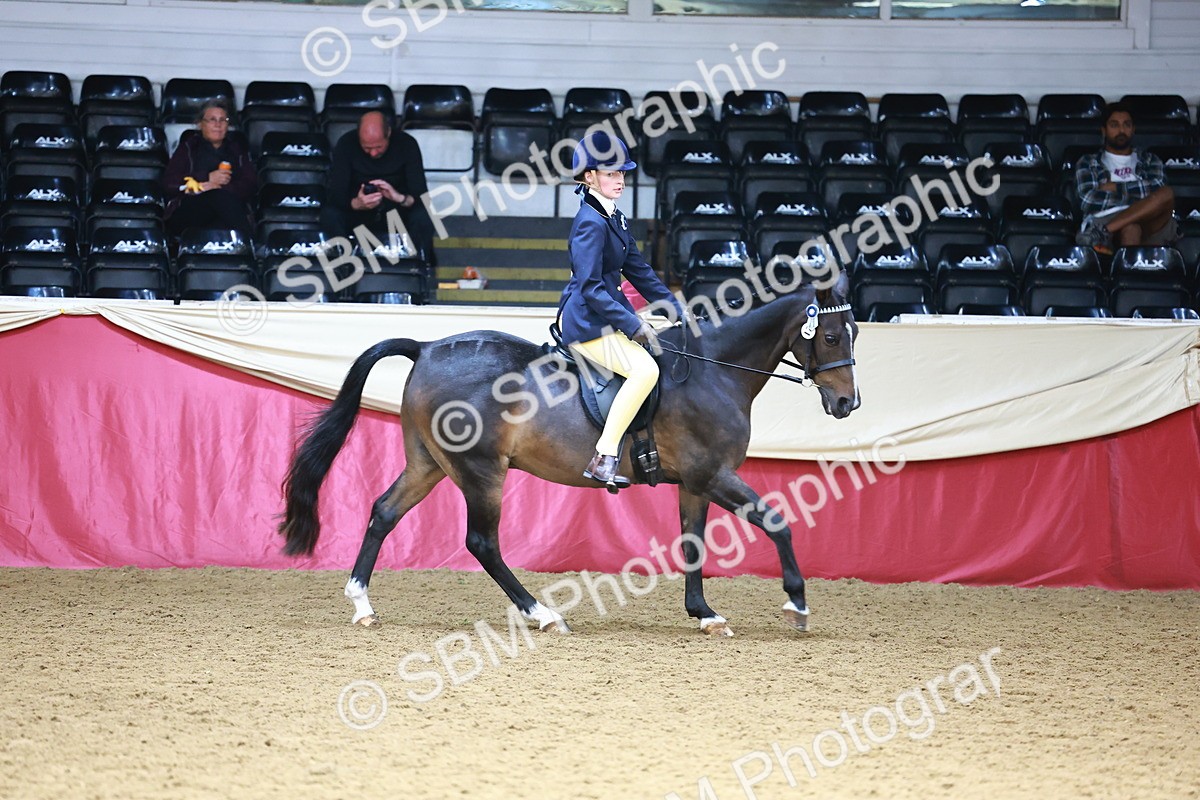 SBM_23837 - Class 905 - Supreme Final - Ridden Veteran