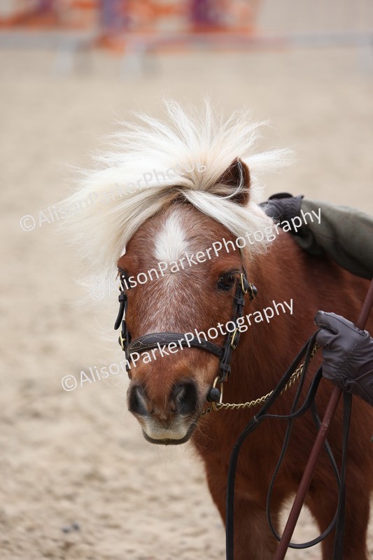 20250524-0735 - Class 7 - Veteran