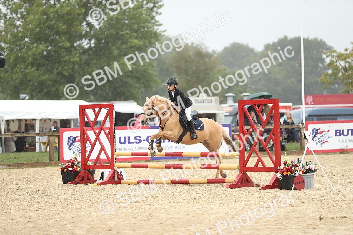 SBM_73691 - J16 - Junior Pony 75cm Championship
