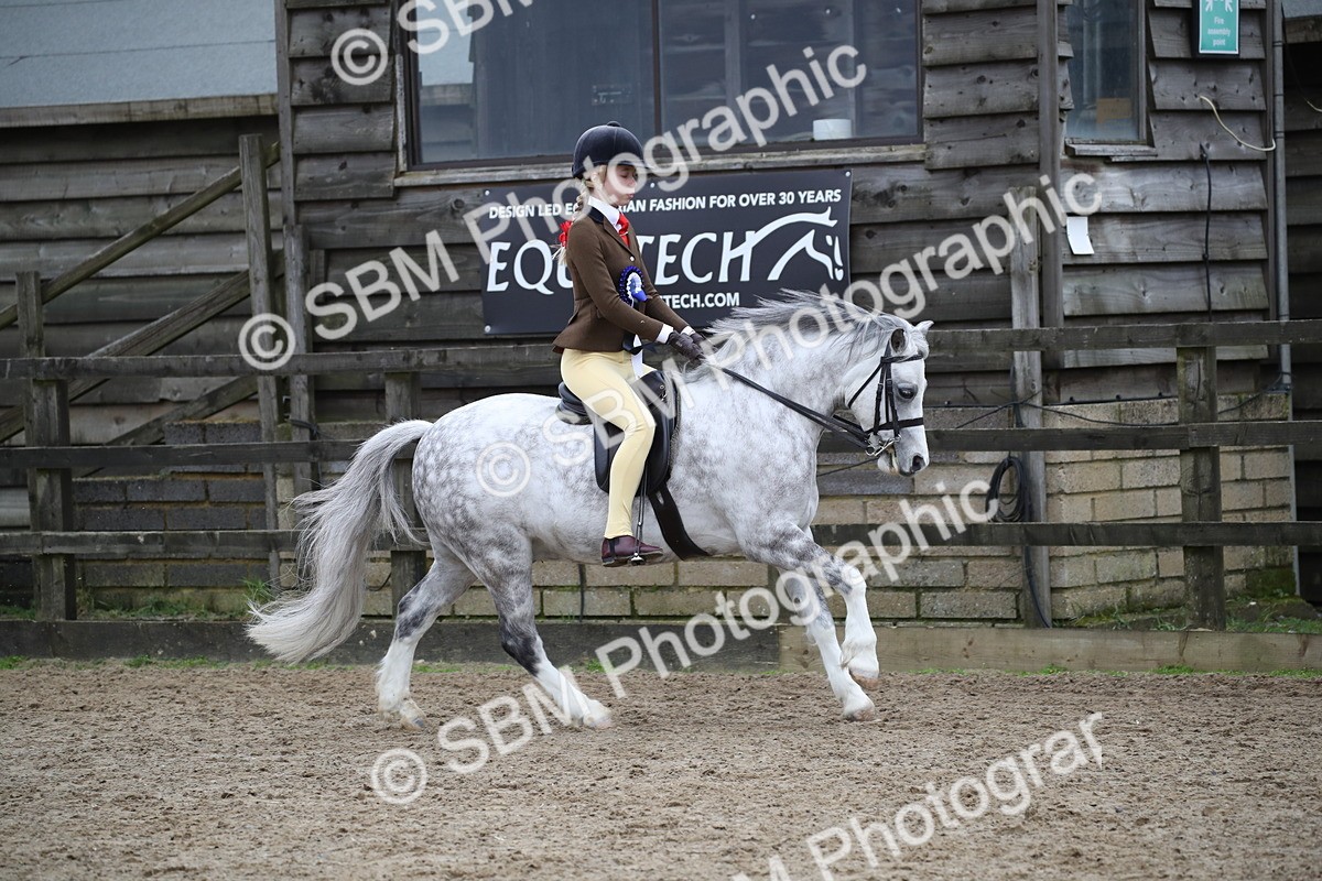 SBM_005993 - Class 10-13 - RIHS Small Large Breeds