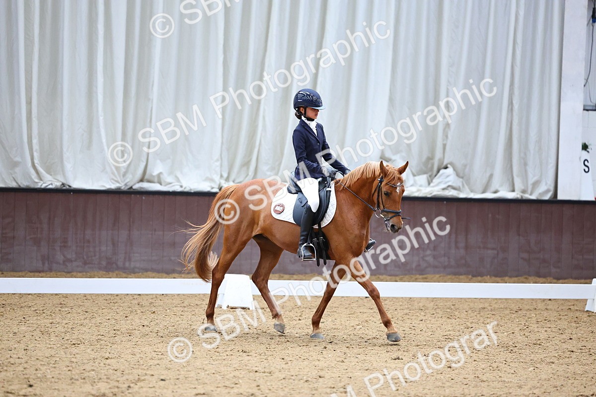 SBM_003990 - Novice 2