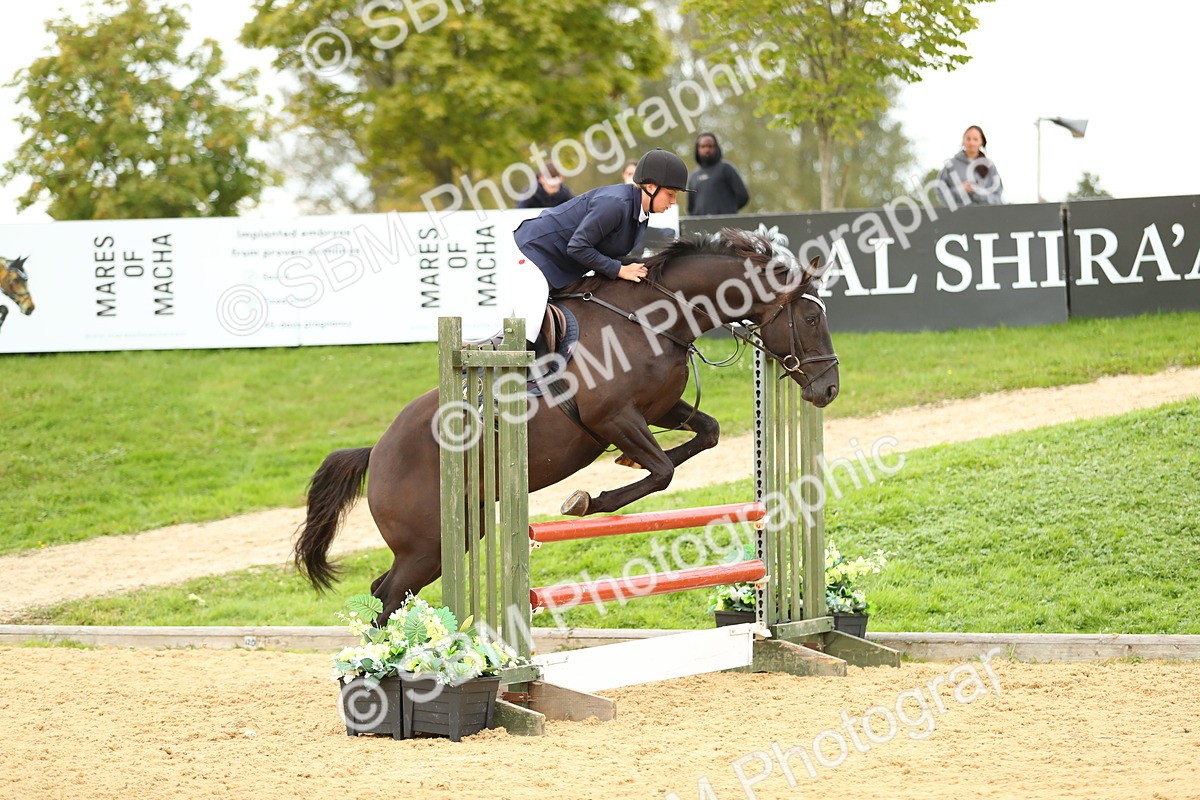 SBM_76079 - J19 - Junior 90cm Supreme Championship