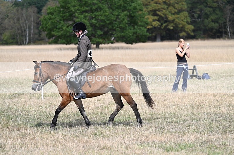 WJ7_5898 - Class 13 Ridden Veterans