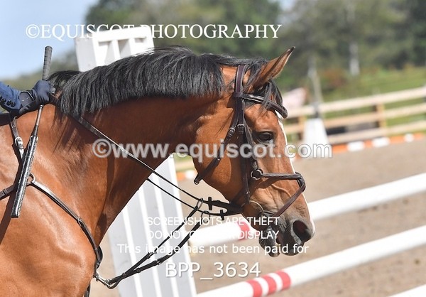 BPP_3634 - CLASS 4 Senior BritiNovice/ 90cm Open