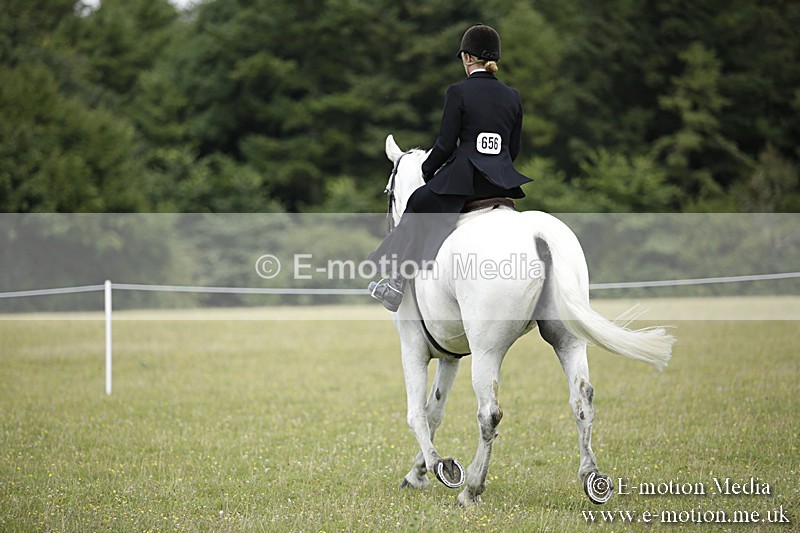 BVR160717-1958 - Side Saddle Classes 16/07/17