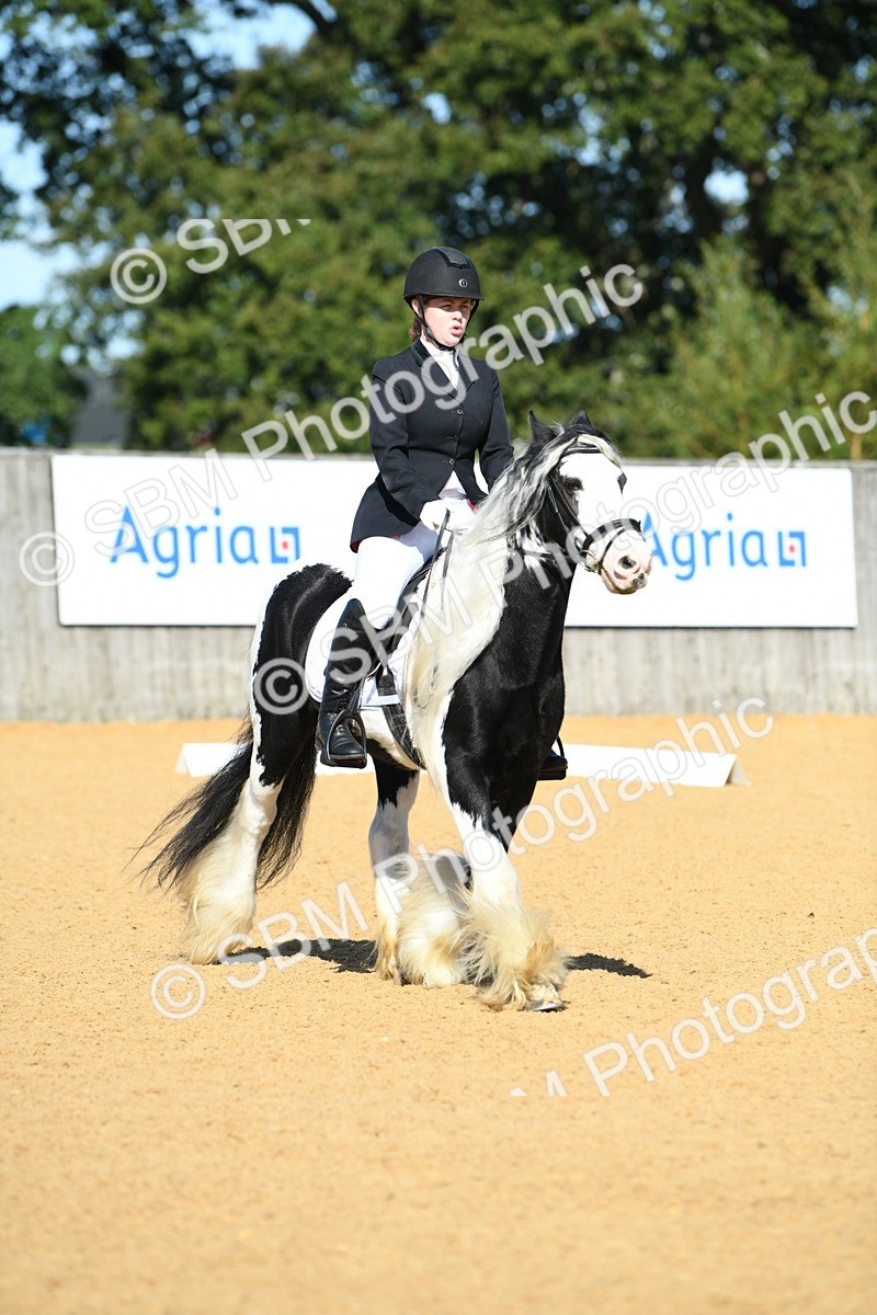 SBM_18053 - D4 - Small Tour Championship - Intro B