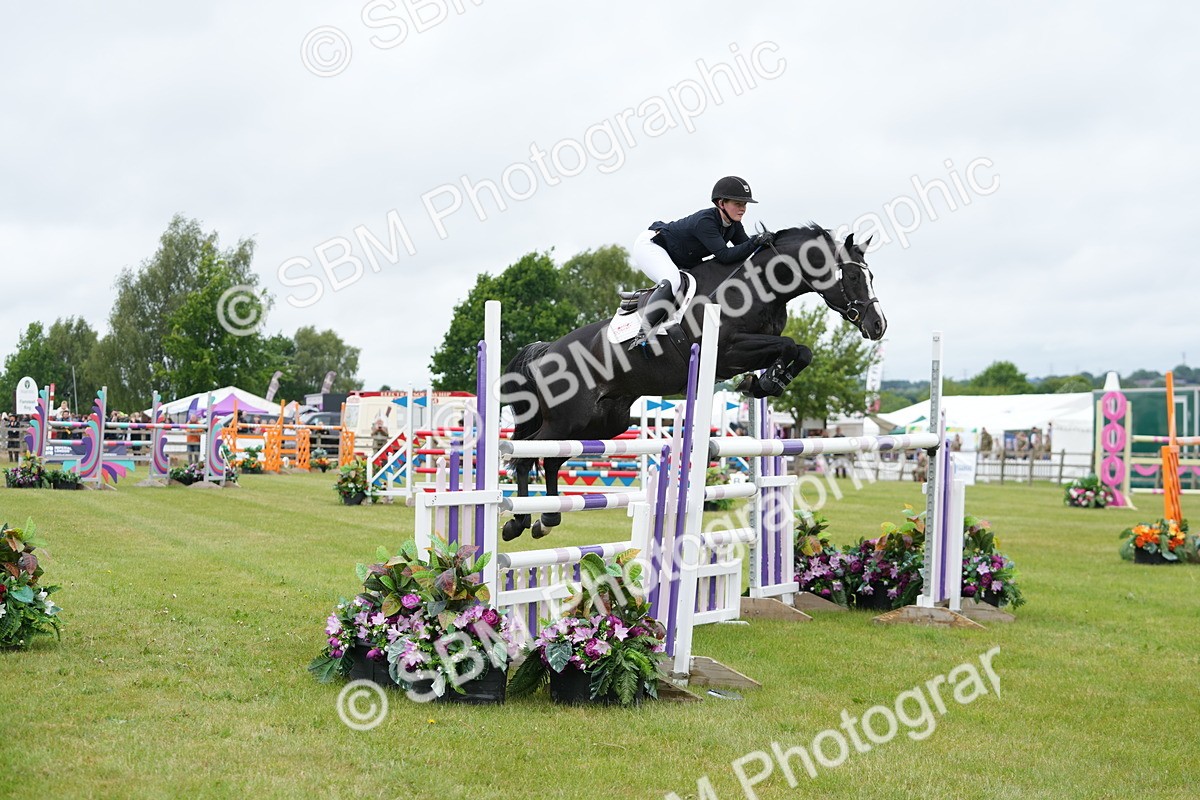 SBM_03306 - Class 201 - British Horse Feeds Speedi Beet Horse of the Year Show Grade  C