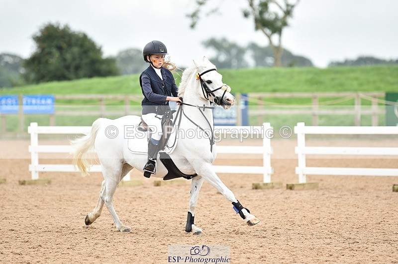 230902A-114810-00848 - Cls 2B Pony Small 80cm