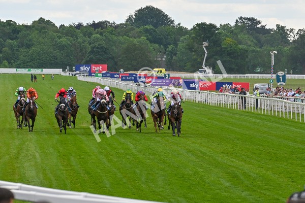 140625-Race 1-Humam-9170 - Race 1 1.50pm Doug Johnston Memorial Ubettabelieveit Macmillan Handicap