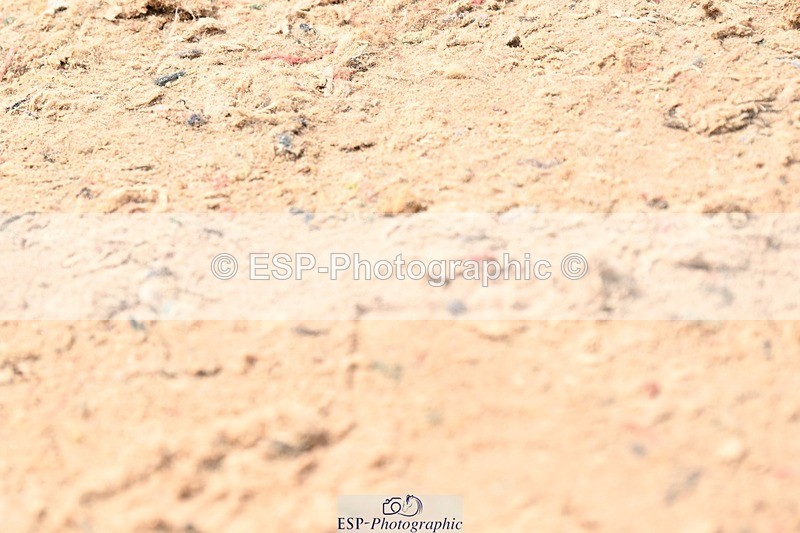 250424-132451-04545 - Cls 5 - 2 Star Medium Tour