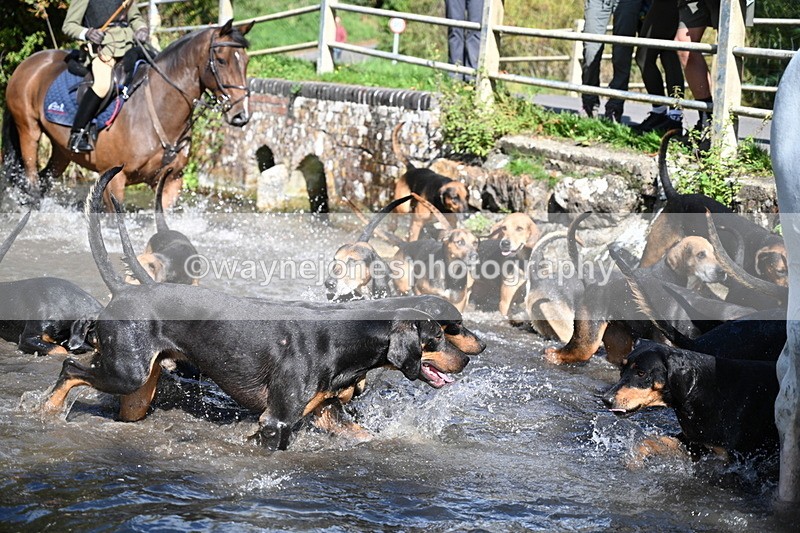 WJ7_5994 - Hounds Water Crossing