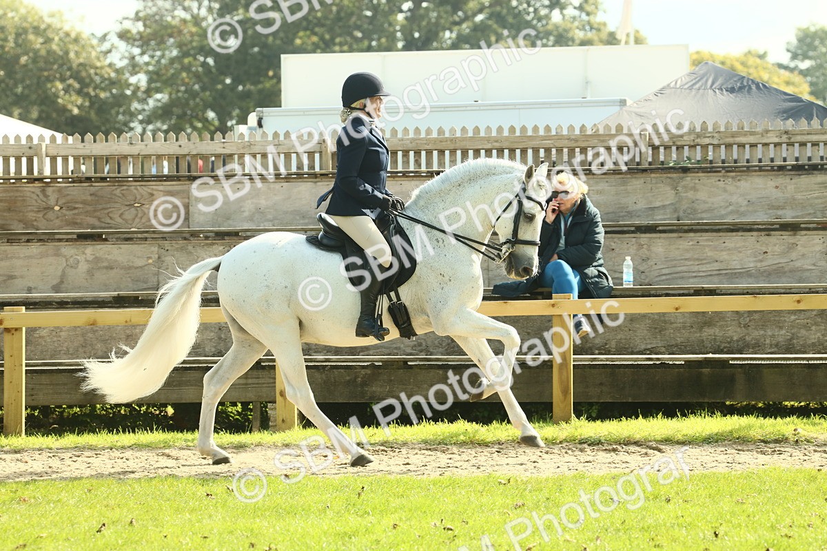 SBM_62410 - S62 - Foreign Breeds Ridden