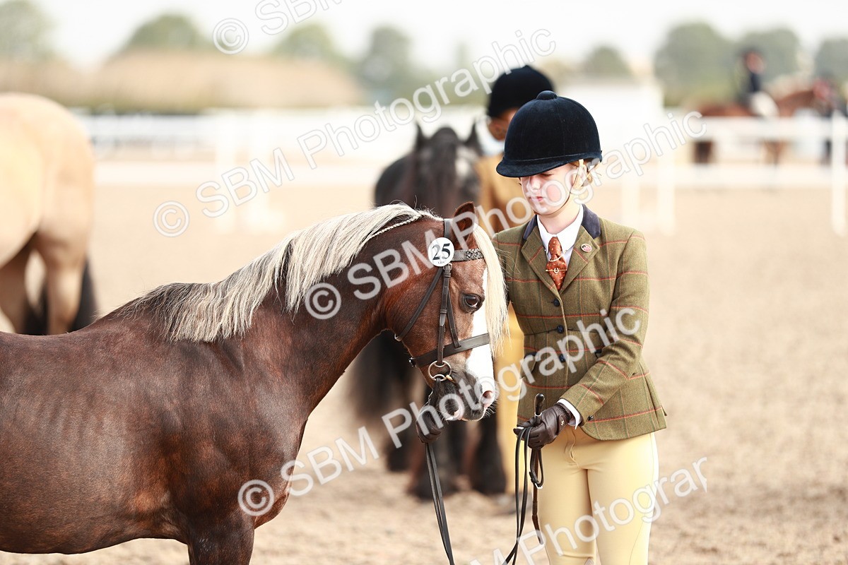 SBM_10582 - Class 204 Young Handler, 11-16 years