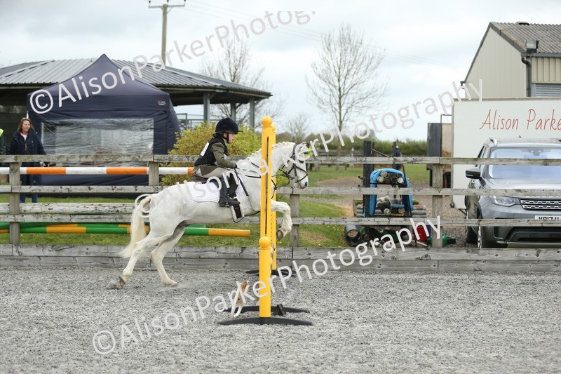 20260412-0657 - Show Jumping