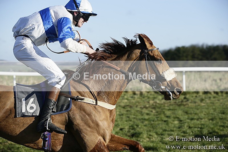PtP 070118 -361 - Larkhill Racing Club Point to Point Larkhill 07/01/2018