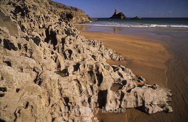 Jeremy Moore Photography, Pembrokeshire, Wales