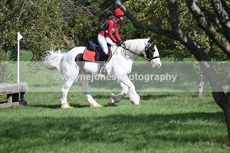 WJ7_8935 - Time 11:10 to 11:53