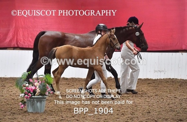 BPP_1904 - AFTERNOON 12.30 - 3.30PM