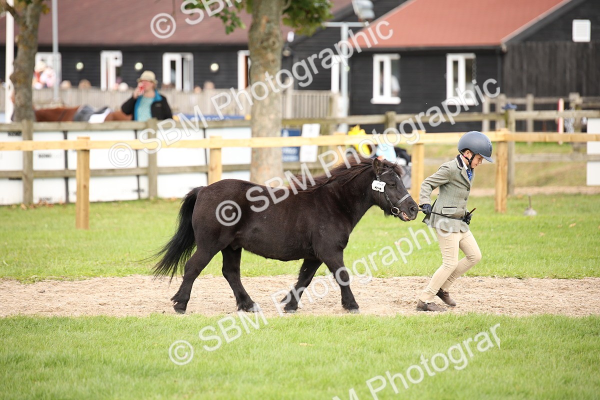 SBM_46324 - S25 - Mature Veteran In Hand