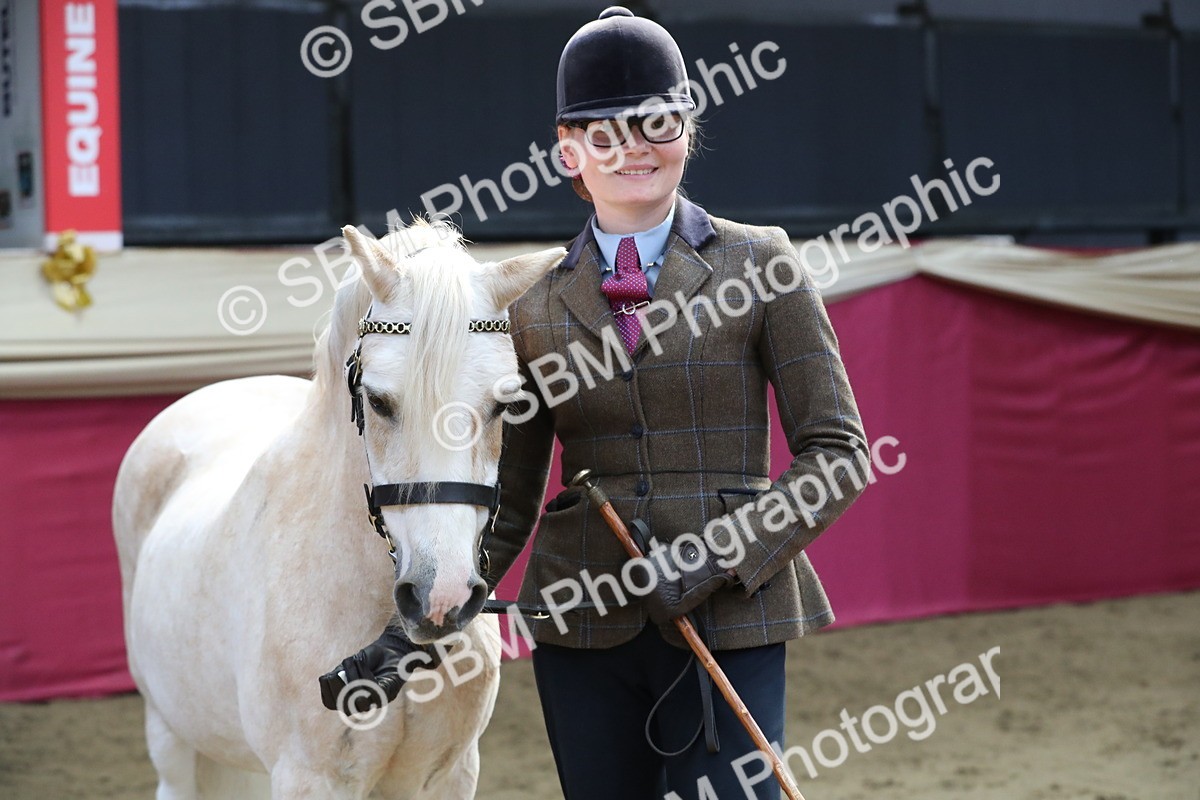 SBM_04443 - Class 7R Regional - IH Diamond