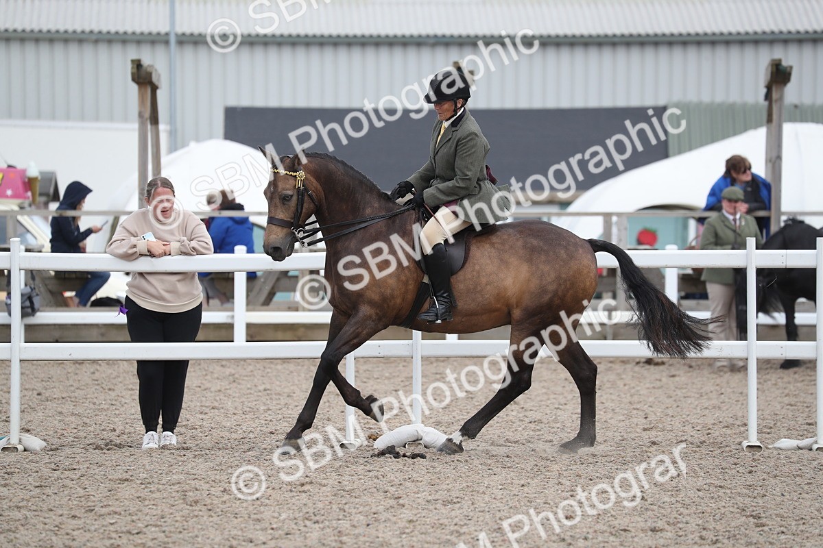 SBM_17397 - Class 315 Best Horse/Rider Combination