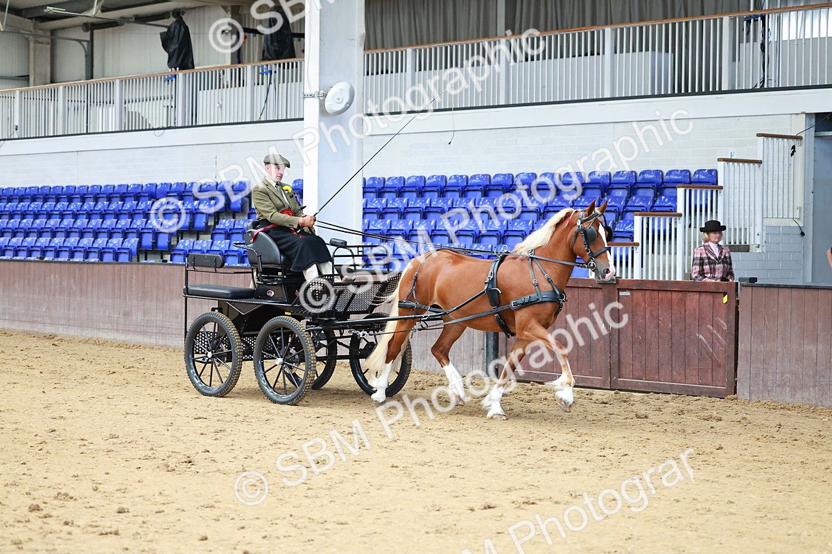 SBM_000678 - Class 11 - Peter Howell Memorial Gentlemen Whip