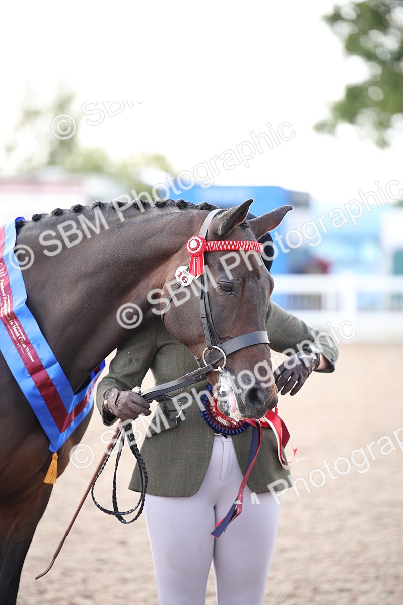 SBM_07132 - Class 25 IH Foreign Breeds- Pure bred