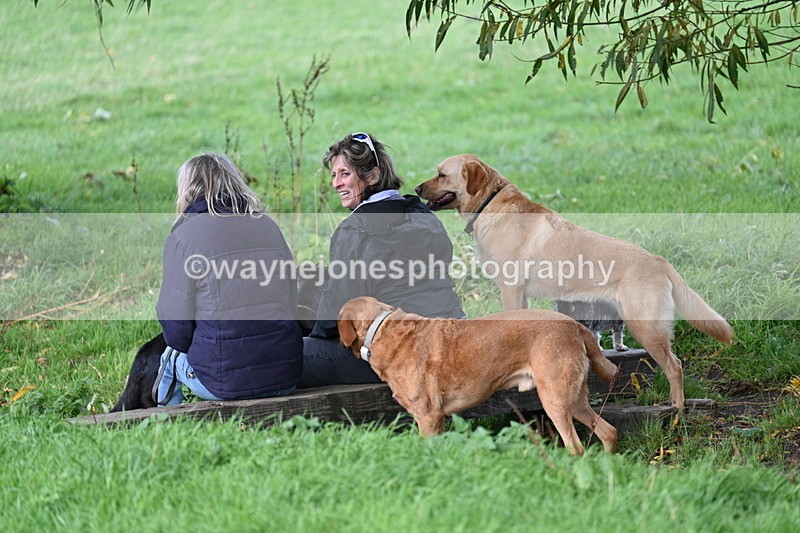 WJ7_0829 - Time 14:27 to 15:11