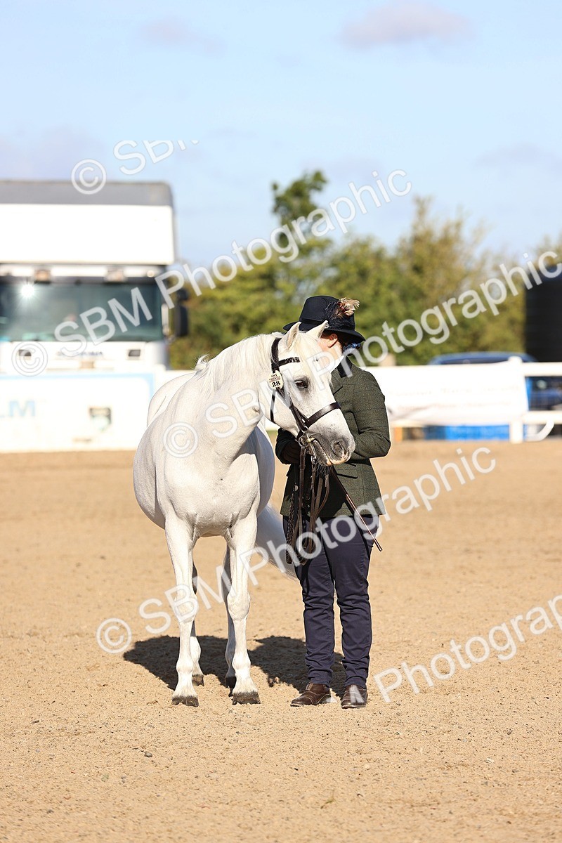 SBM_08434 - Class 402 - IH Veteran Pony
