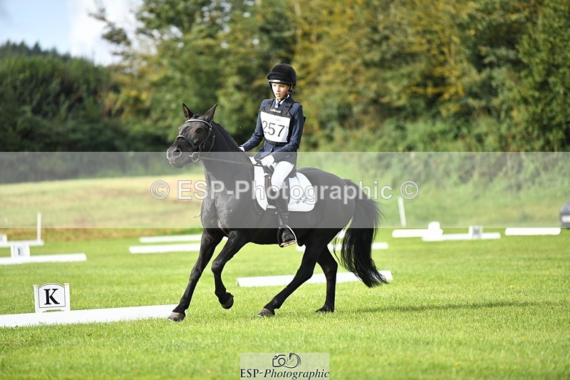 230826-094927-15252 - Sections C & D 9 to 10am