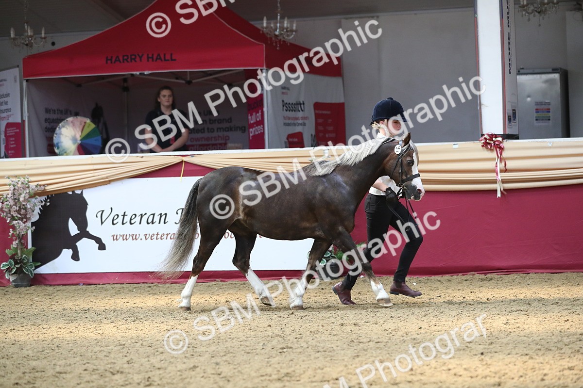 SBM_15141 - Class 501 M&M IH Supreme Final