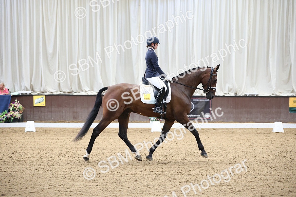 SBM_002108 - Class 5 - Novice 6 Gold - 9.00-10.10