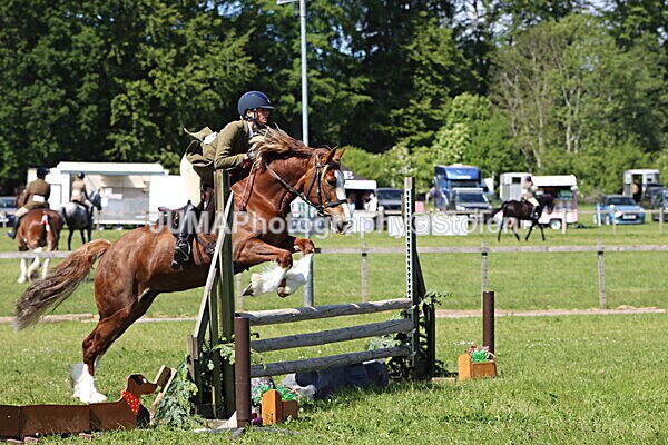 IMG_4353 - Working Hunter