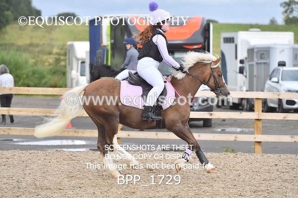 BPP_1729 - DERBY CLASS 4 - 50CM