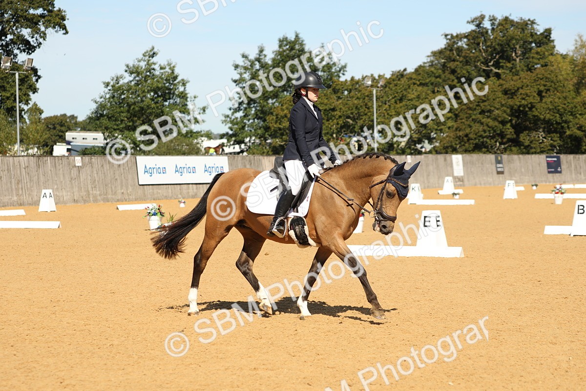 SBM_19691 - D10 - Small Tour Championship - Prelim 2